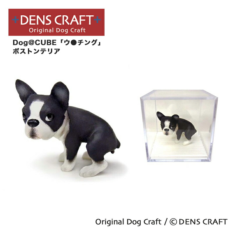 楽天市場】【DENSCRAFT】 Dog@CUBE 「ウ○チング」 ボストンテリア 犬