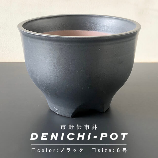 伝市鉢」の人気商品一覧 | 安い商品を通販サイトから探す - 価格.com