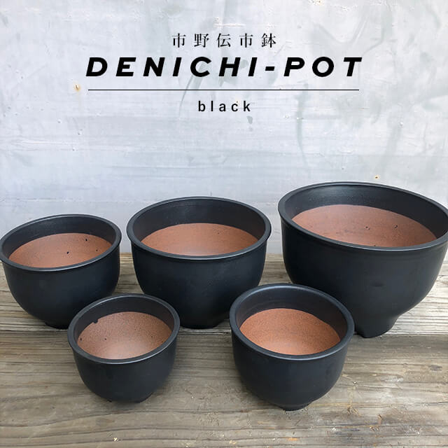楽天市場】伝市鉢 コウロ型【ブラック】5号 φ16cm×H11cm 植木鉢 陶器