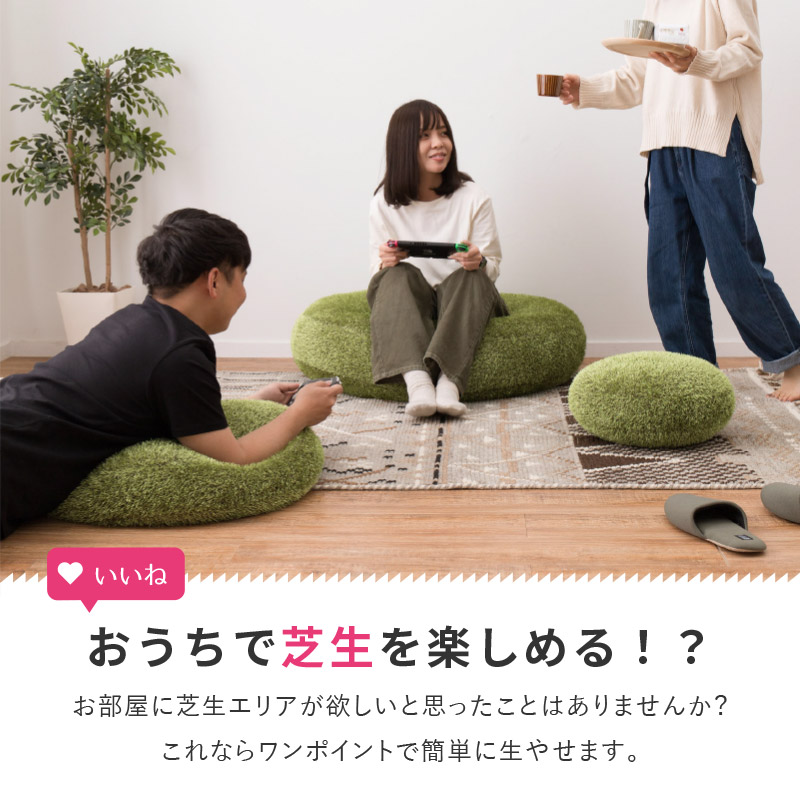 楽天市場】【3/5/P8倍/クーポン有】芝生風 クッション シーヴァ いや
