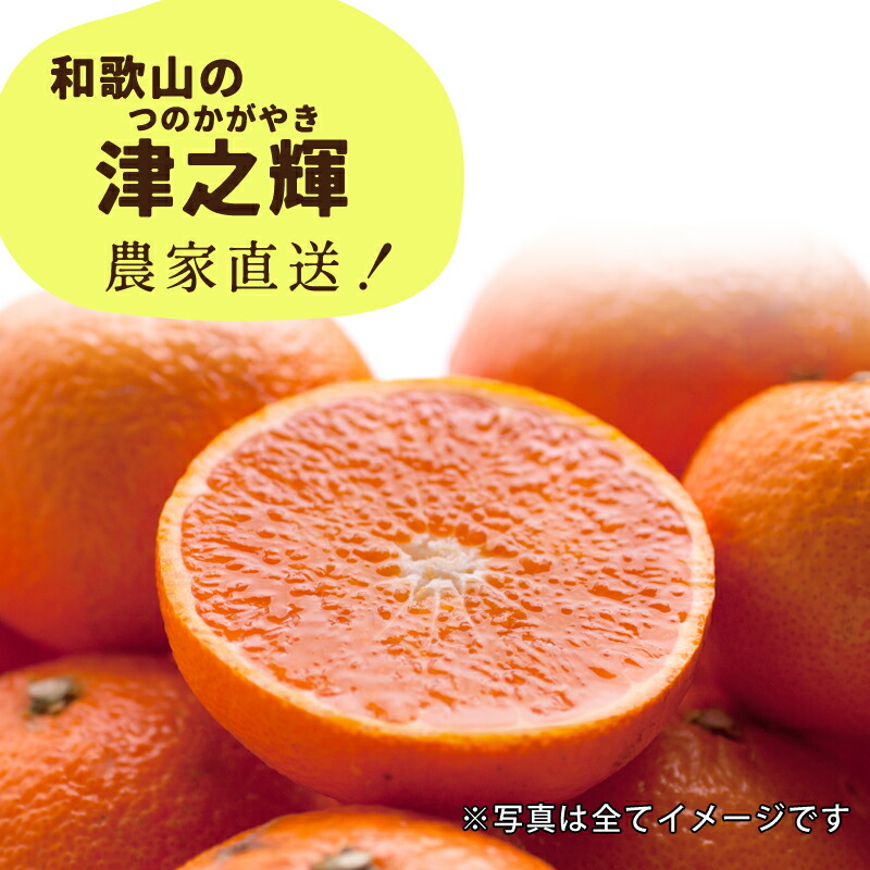 楽天市場】訳あり 津之輝 送料無料 1kg ～ 10kg せとか に似た新品種