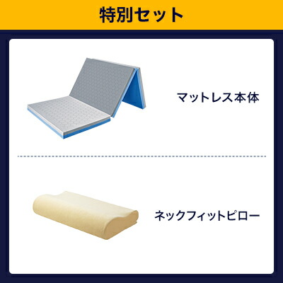 楽天市場】【送料無料】トゥルースリーパー エアフリー三つ折りタイプ