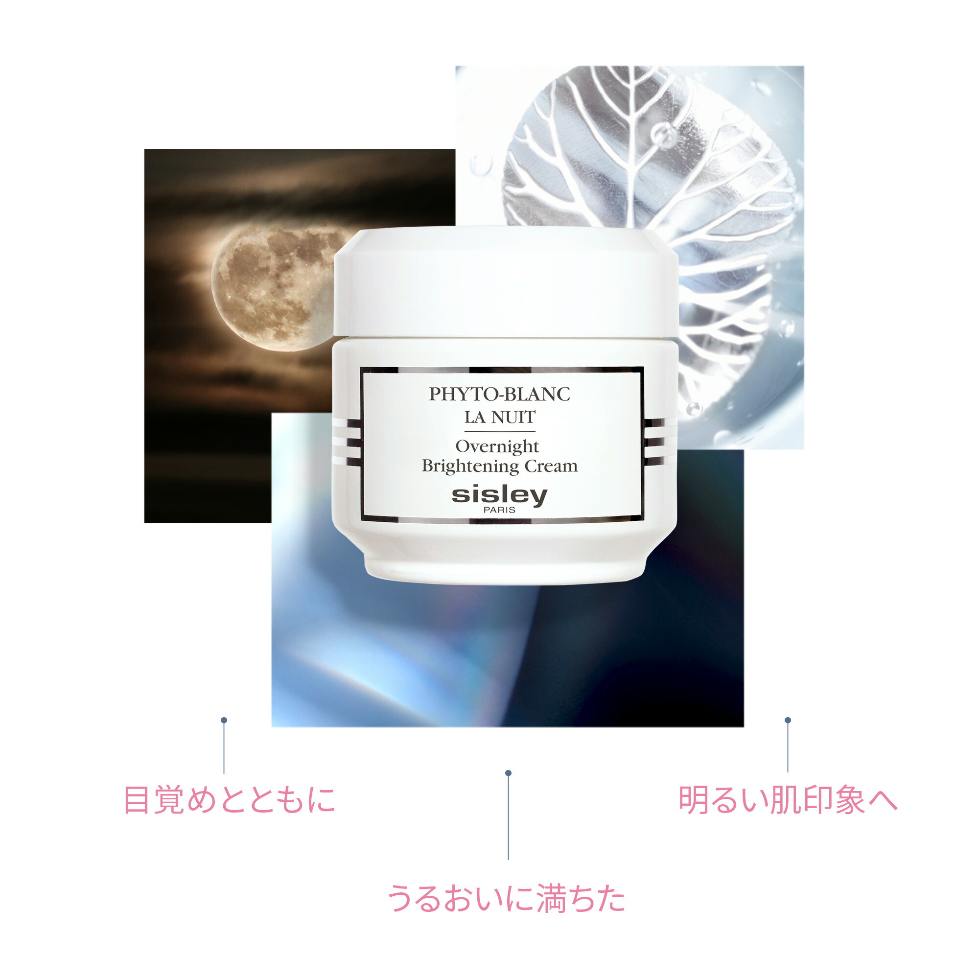 楽天市場】【最大1000円OFFクーポン】 【公式】 シスレー フィトブラン