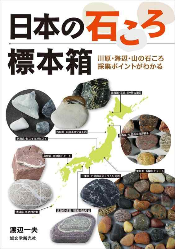 楽天市場】土質 標本 箱の通販