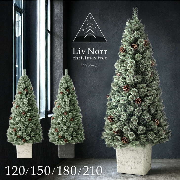 楽天市場】RENEW ヌードツリー Liv Norr 石目調 ポット付き 120cm