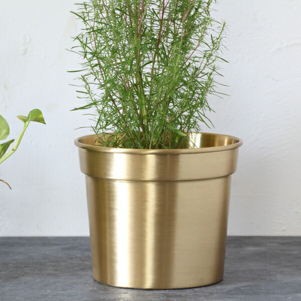 楽天市場】真鍮製 鉢カバー 小物入れ おしゃれ ゴールド BRASS 5号