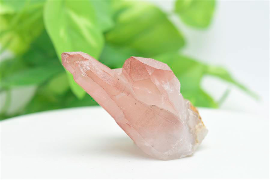 楽天市場】◇限定◇ ピンクレムリアン 非研磨 レムリアンシード