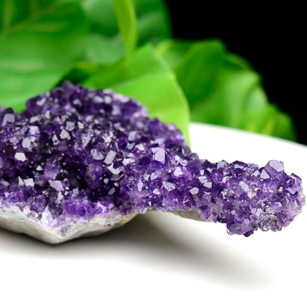 楽天市場】フラワー アメジスト クラスター 原石 ◇ウルグアイ