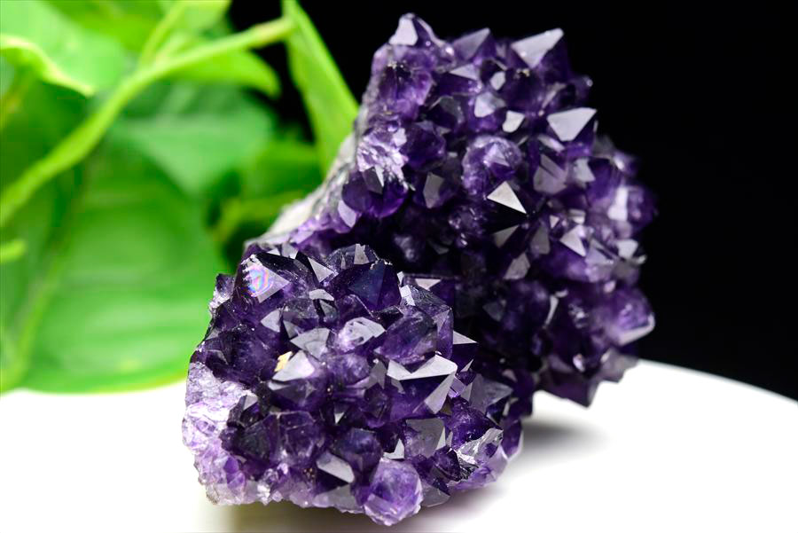 楽天市場】フラワー アメジスト クラスター 原石 ◇ウルグアイ
