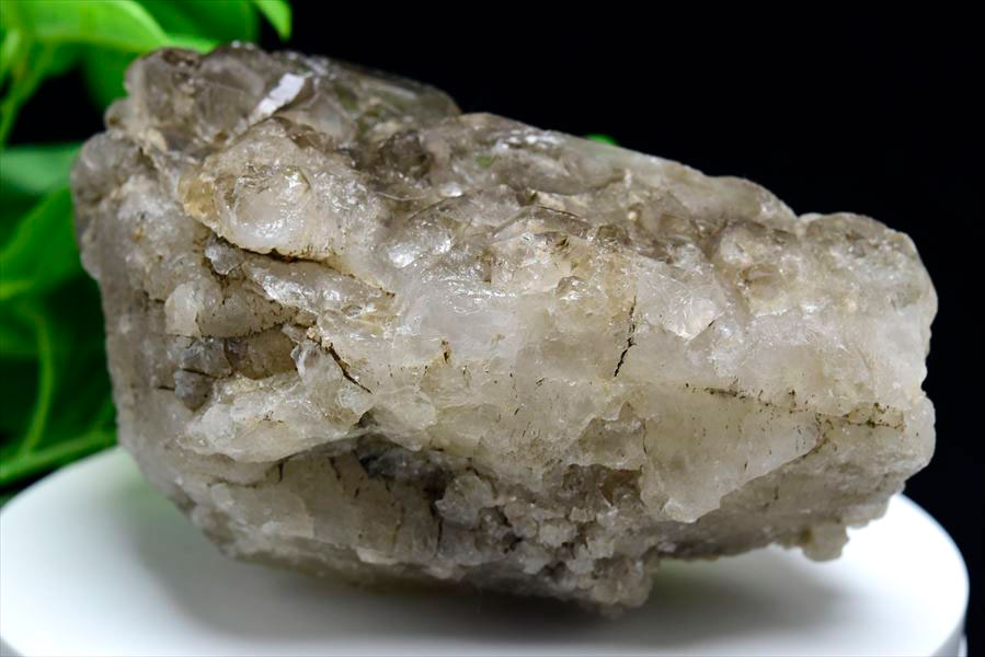 楽天市場】スモーキー アリゲータークォーツ ジャカレー水晶□ブラジル