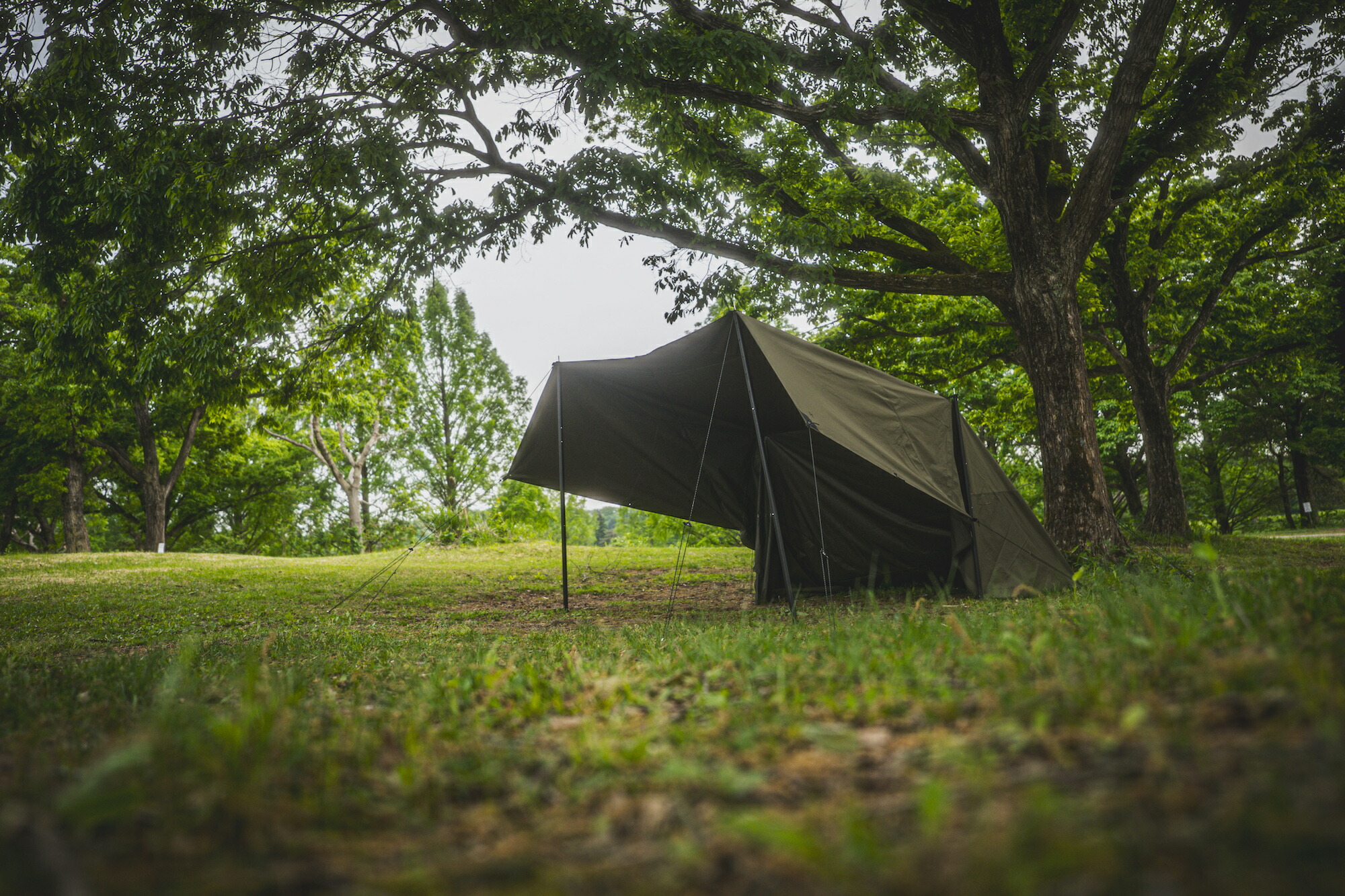 楽天市場】【公式】VENTLAX ヴェントラクス DIMENSION44 TARP v2