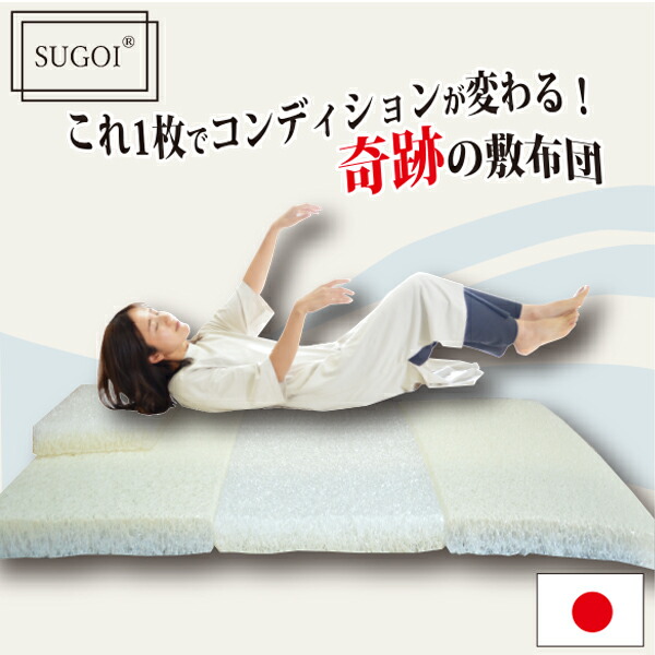 楽天市場】＼SS限定！最大75％OFF／【公式】【正規品 日本ｲｵﾝ協会認定