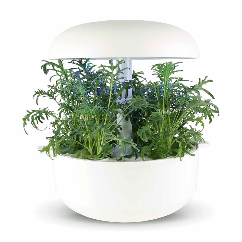 楽天市場】【アウトレット品80％OFF】Plantui 6 北欧フィンランドの水