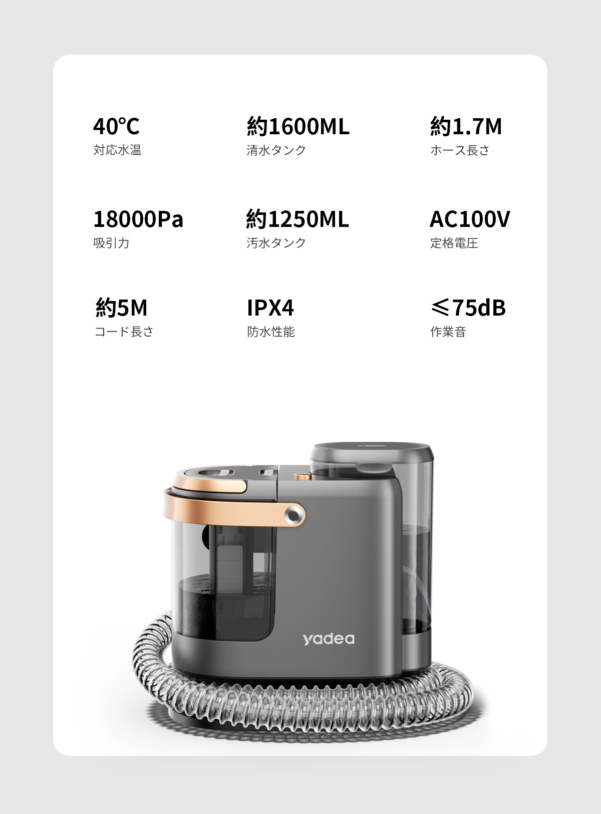 楽天市場】【スーパーSALE限定50％OFF☆抽選で最大P300％バック