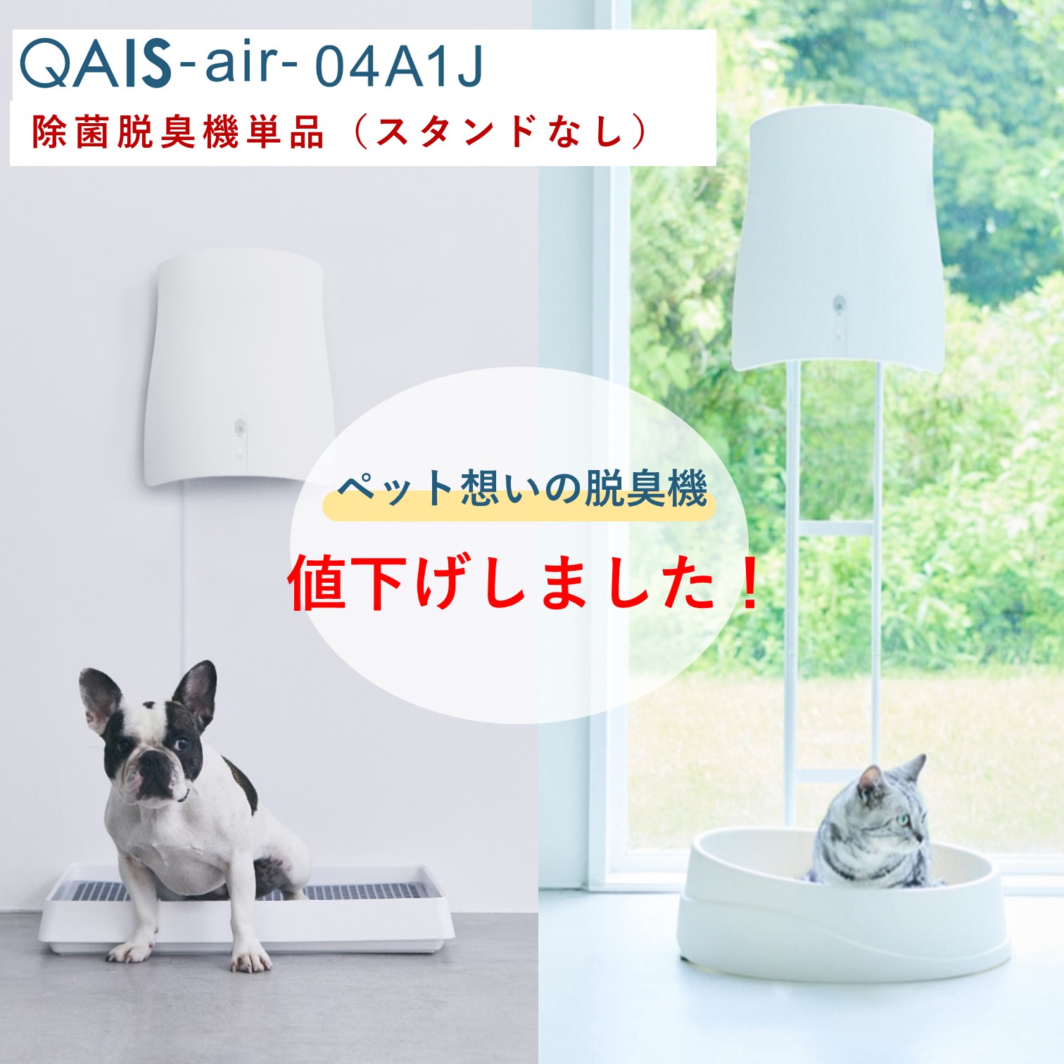 楽天市場】☆単品☆空間除菌脱臭機 QAIS-air- 04A1J サンスター技研