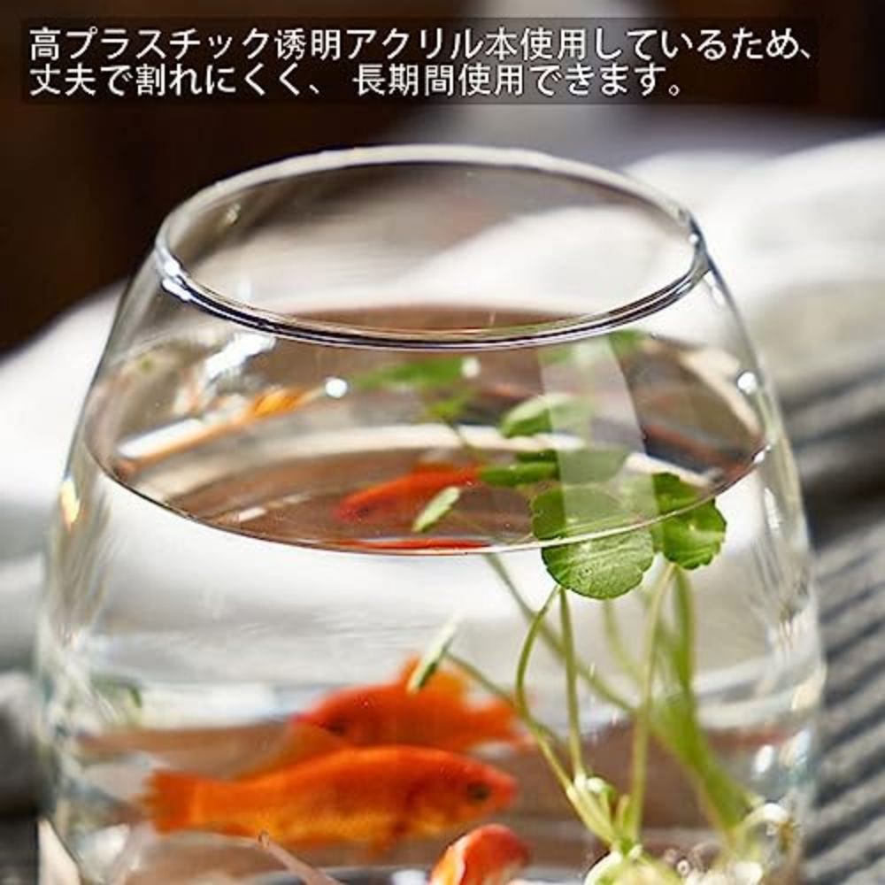 楽天市場】金魚鉢 おしゃれ 金魚 メダカ 水槽 室内 容器 鉢 ミニ水槽