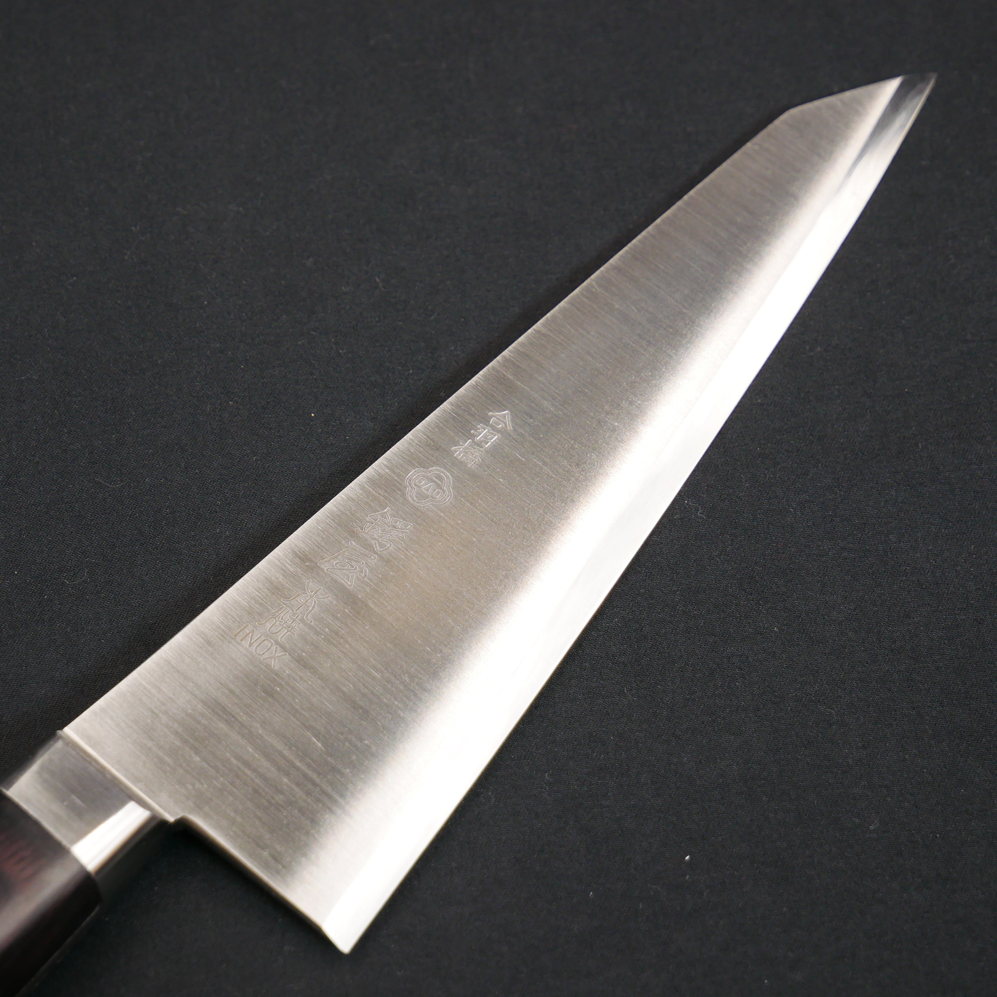 P1060884.jpg?v=1713899098&