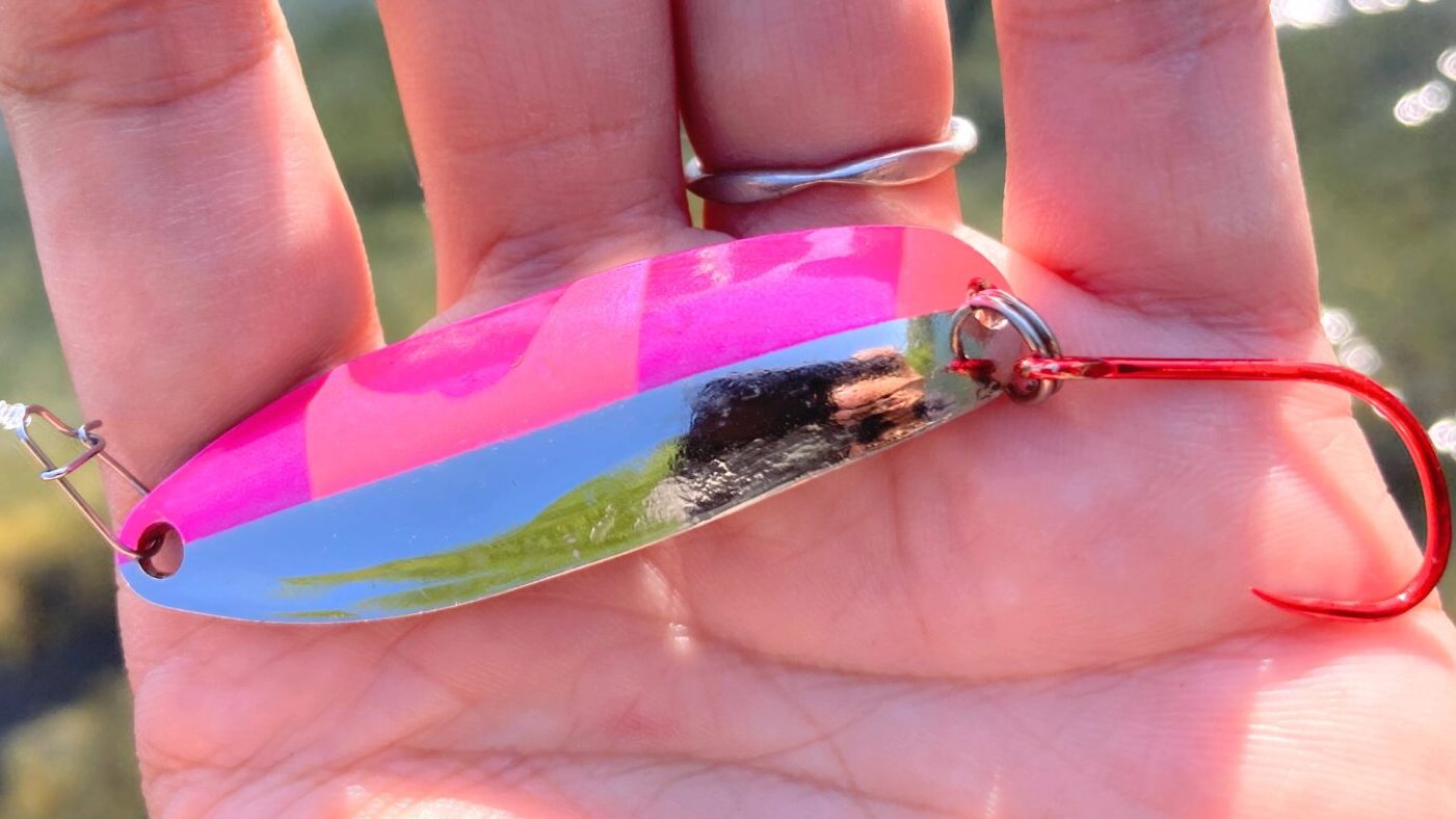 2022年5月29日中禅寺湖レイクトラウト釣行記録｜つれつれLab