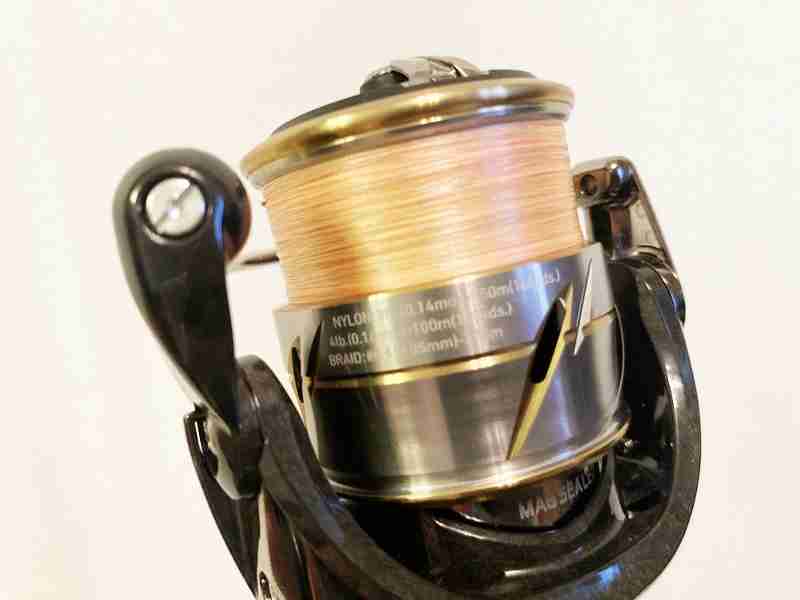 20-luvias-fc-lt2000s-xh-ruvias