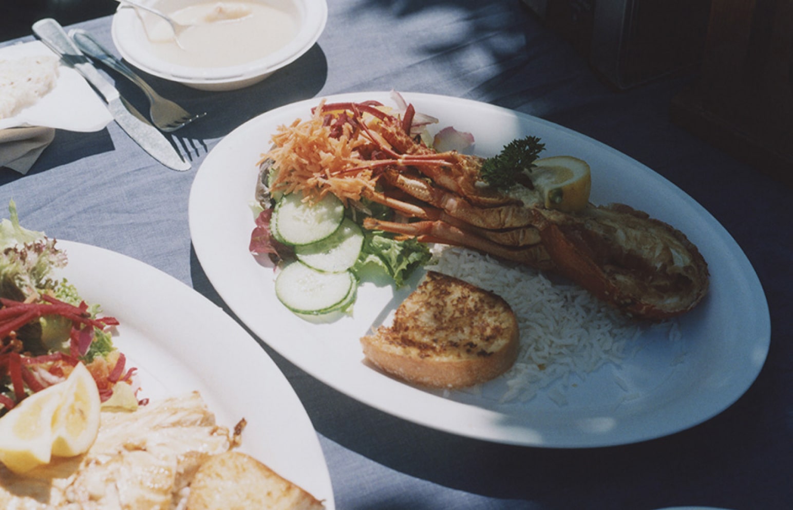 癒やしのニュージーランド旅へ vol.2ワイへキ島とピクトン&カイコウラ