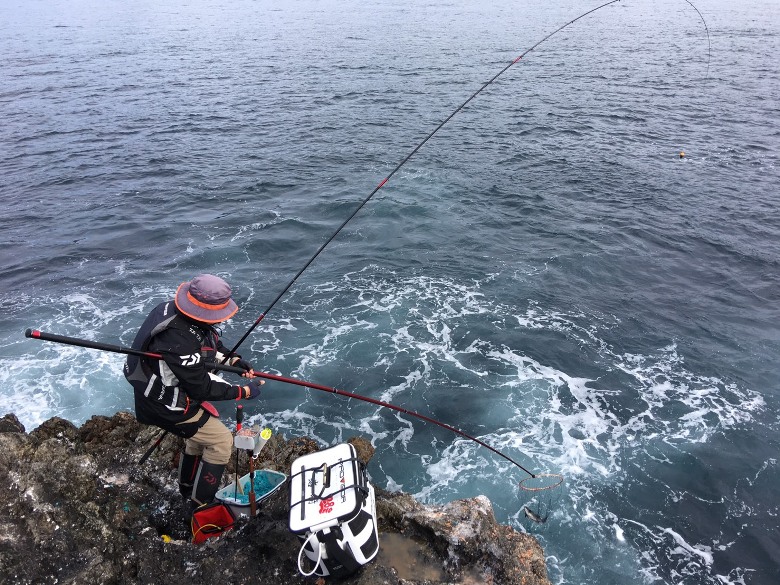 NEW波濤・インプレッション】