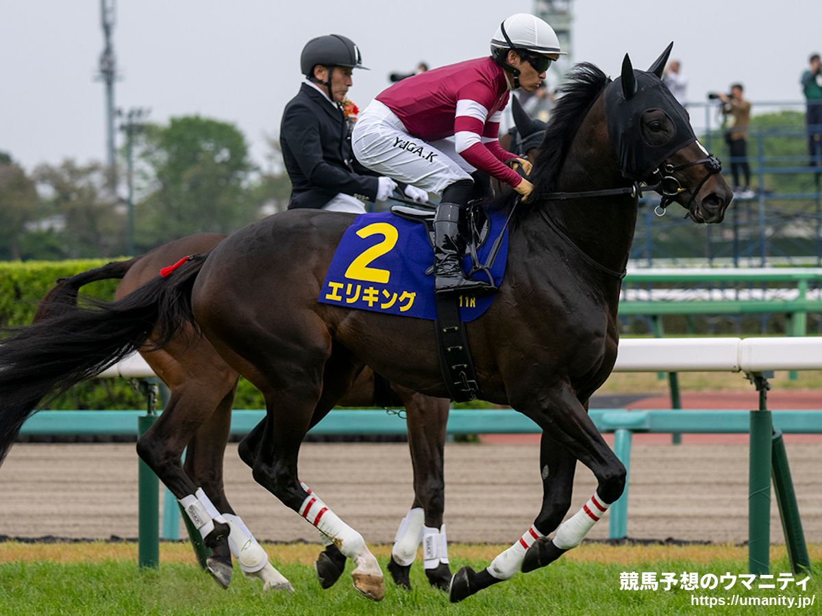 菊花賞2025】馬場の有利不利、教えます！ リニューアル後の京都長距離