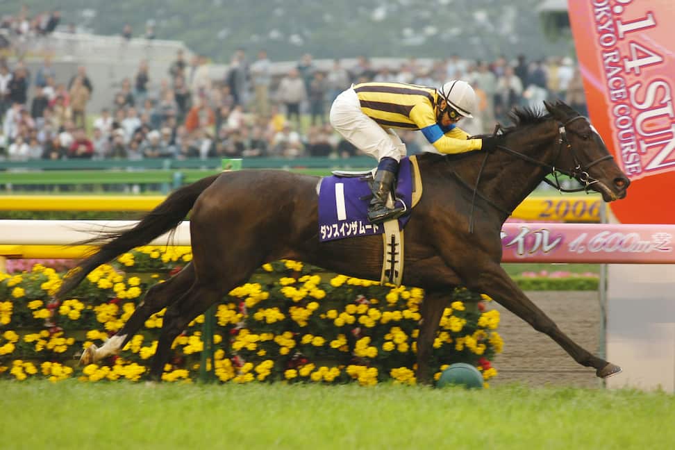2004年の桜花賞馬ダンスインザムード死ぬ 25歳｜競馬ニュース｜競馬
