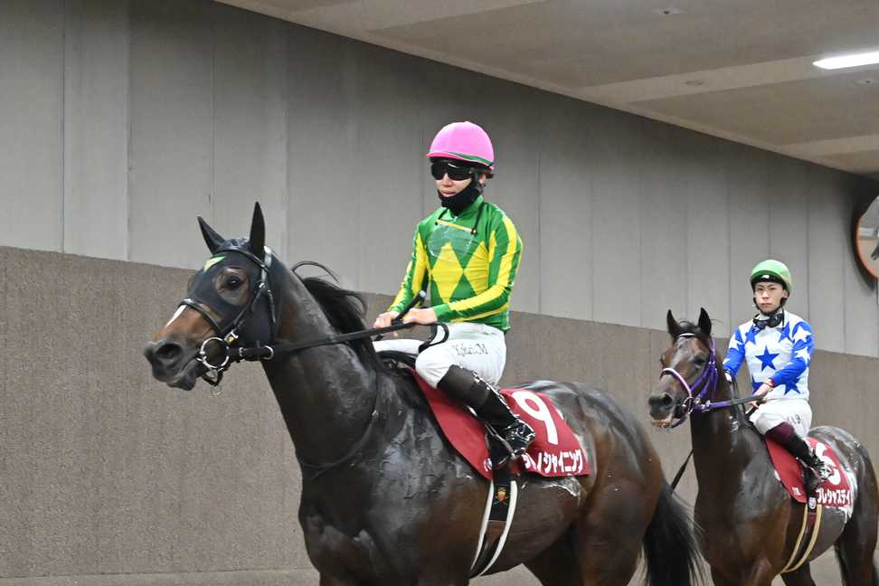 東スポ杯2歳S】サトノシャイニングは二枚腰発揮し2着 松山弘平騎手