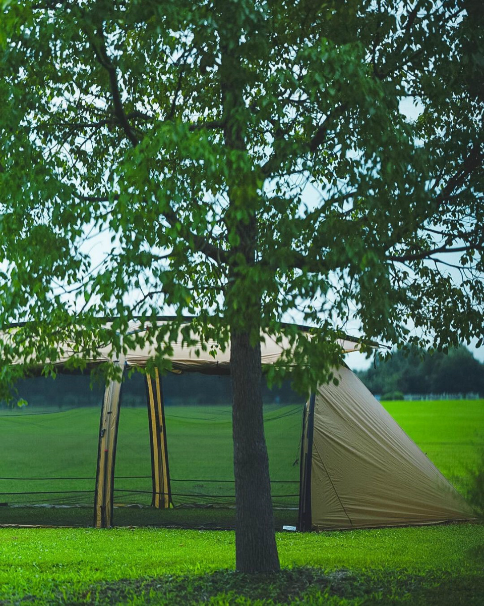 ミニマルワークスのV HOUSE L | アウトドア・キャンプ用品の通販 UNBY