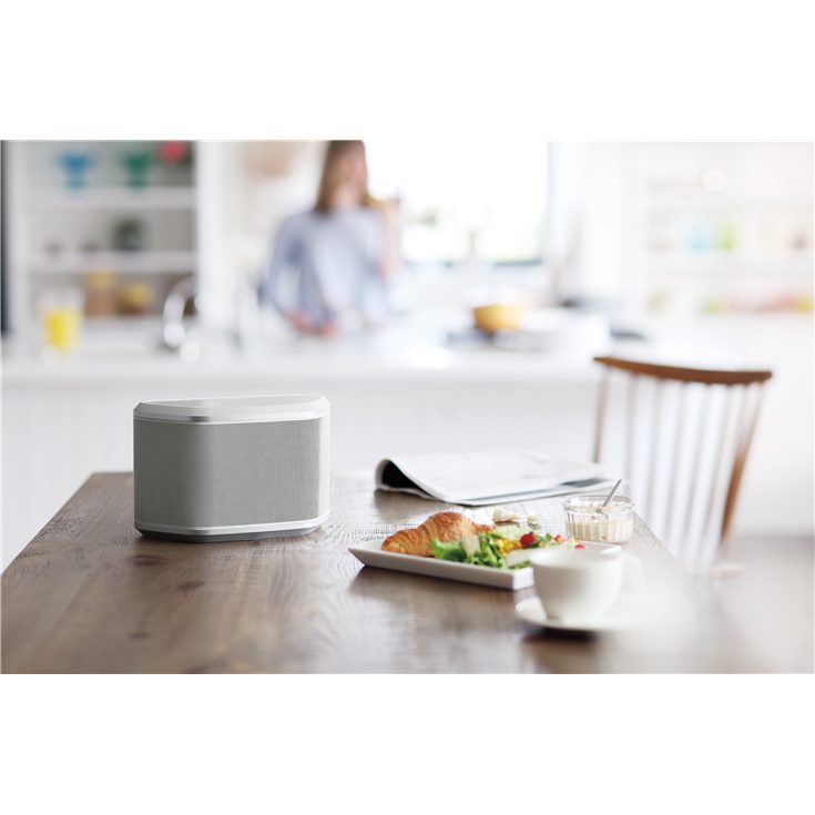 WX-030 - Overview - Wireless Speakers - Home Audio - Products