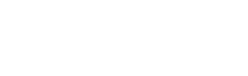 ビッケブランカ wizard