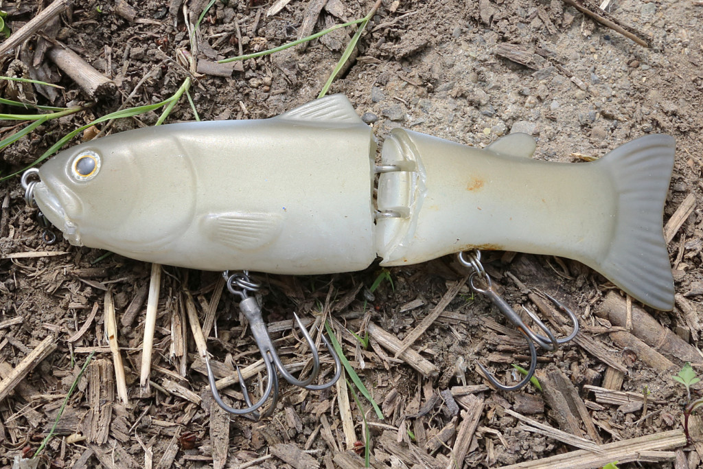 キムケンスタイルvol.12】キムケン的「今ドキのカスミ対策」 | 釣りの