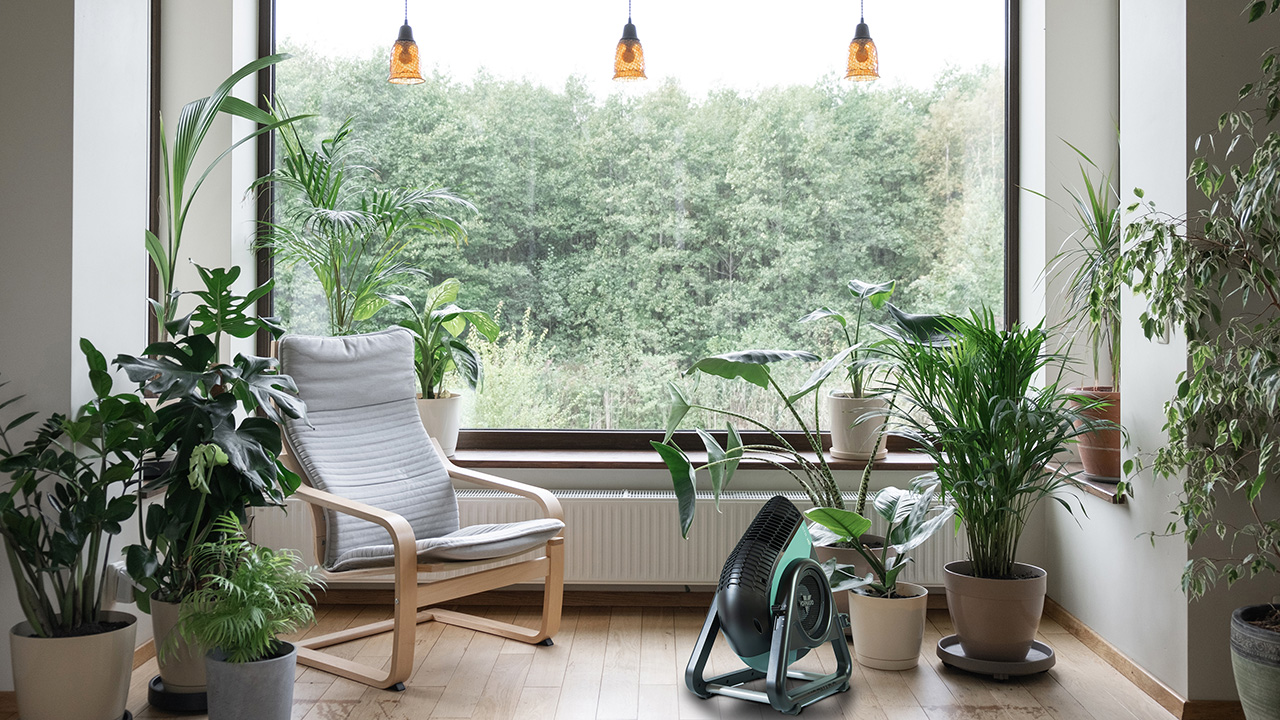 RTRHD-JP - VORNADO - ボルネード公式サイト