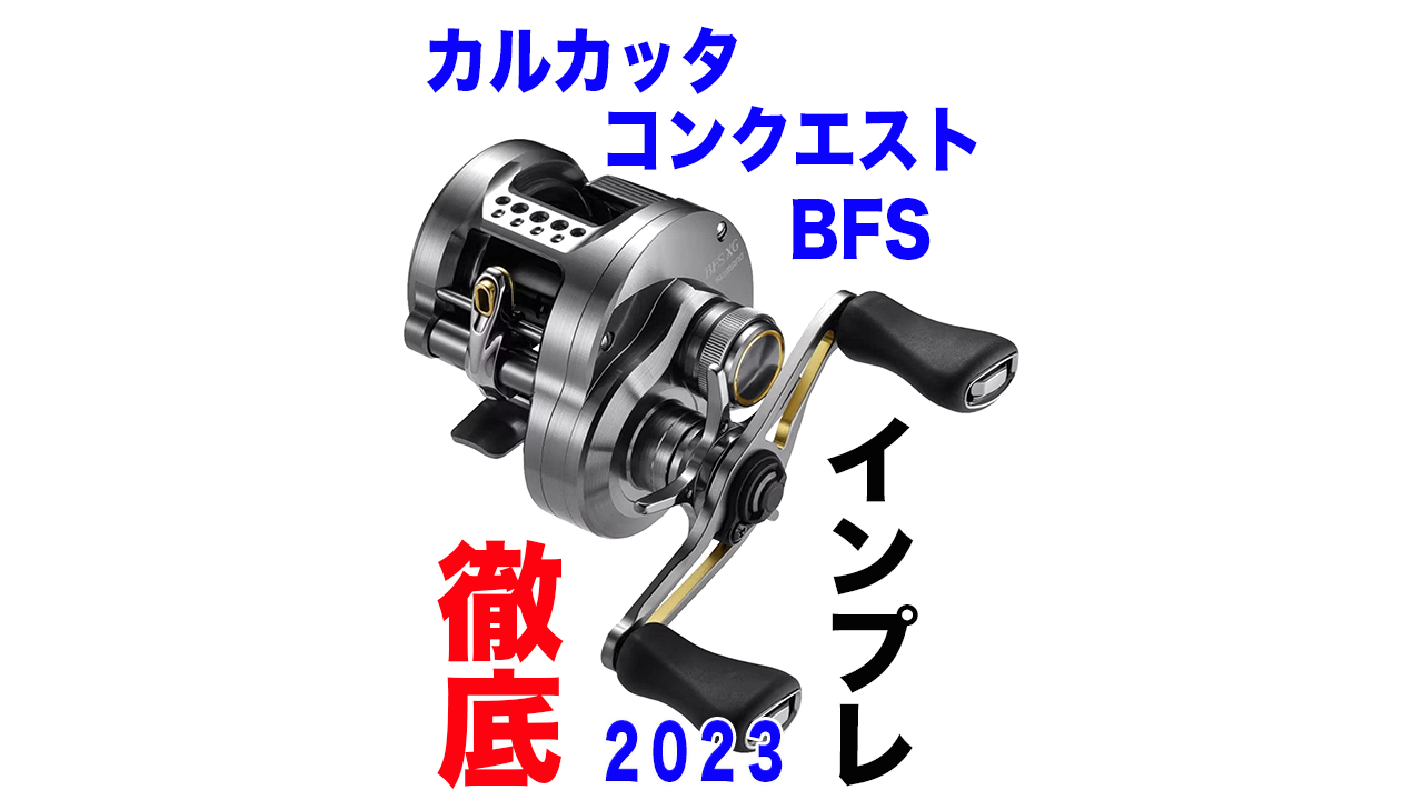 VOVOちゃんのREAL NET LIFE | 【徹底インプレ】23カルカッタコン