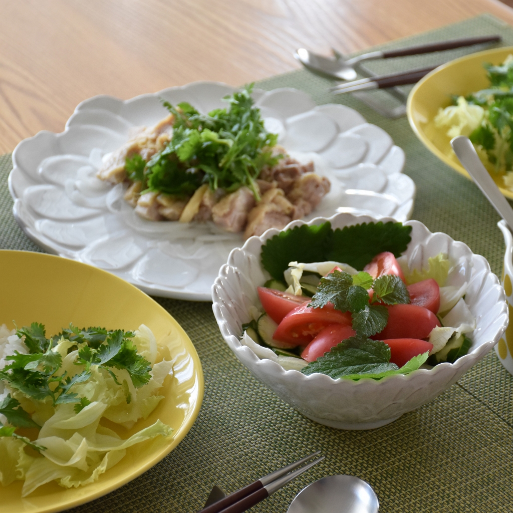 ボルダロピニェイロ】自然モチーフが美しいポルトガル食器【 BORDALLO