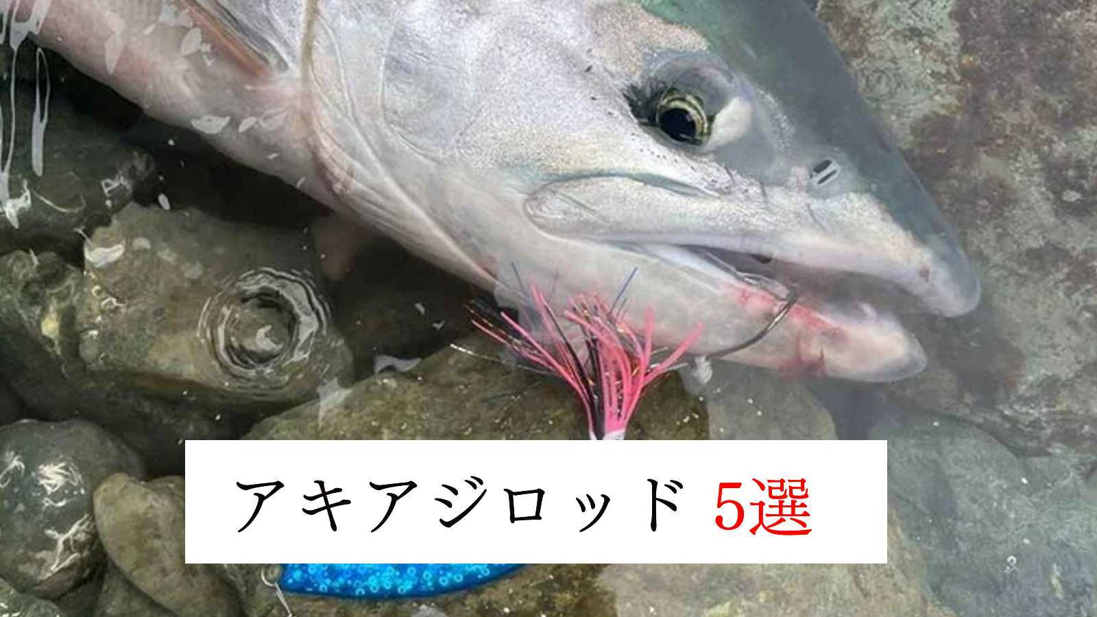 アキアジ（サケ）釣りのおすすめロッド5選【北海道の釣り専門誌が専用