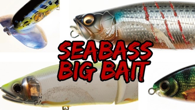 シーバスビッグベイト図鑑 おすすめルアーはなに？ | つり人オンライン