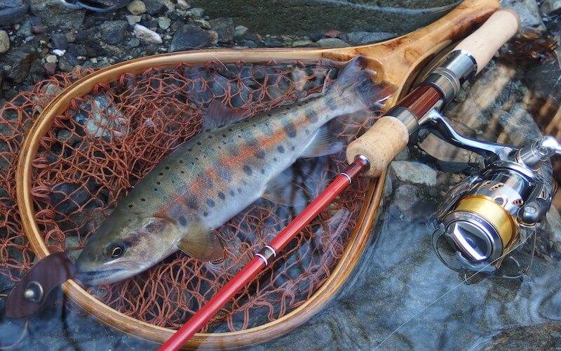 トラウトロッドおすすめ人気ランキング20選｜シマノ、ダイワなど