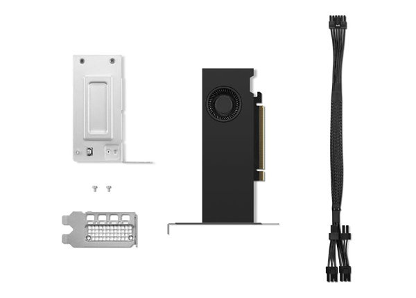 NVIDIA RTX 2000 Ada - graphics card - NVIDIA RTX 2000 Ada - 16 GB