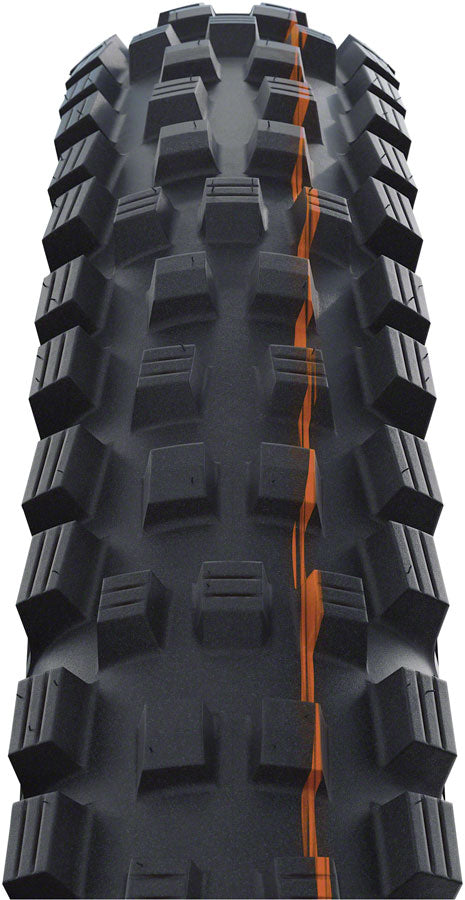 Schwalbe Magic Mary Tire - 29 x 2.4, Tubeless, Folding, Black