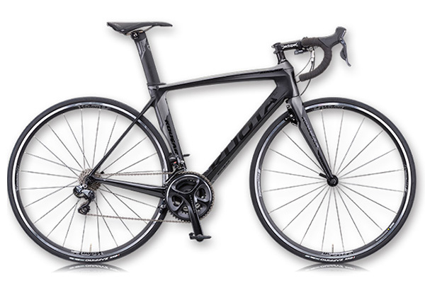 エアロロードバイクフルカーボン クォータークーガー2015フレーム