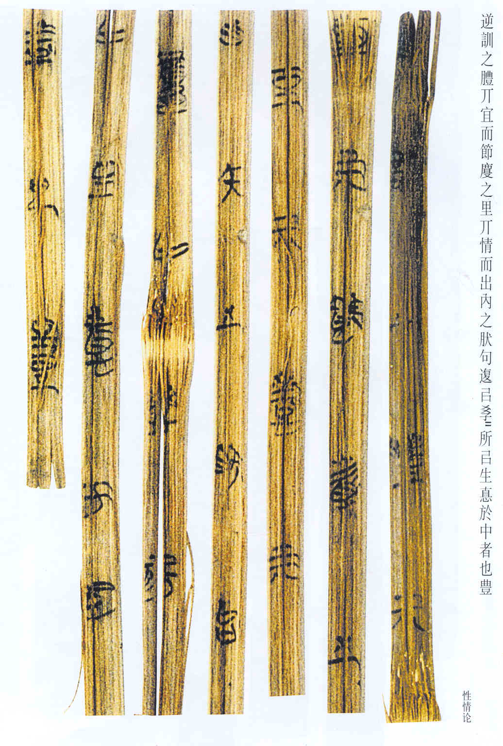 先秦书法-书法空间——永不落幕的书法博物馆