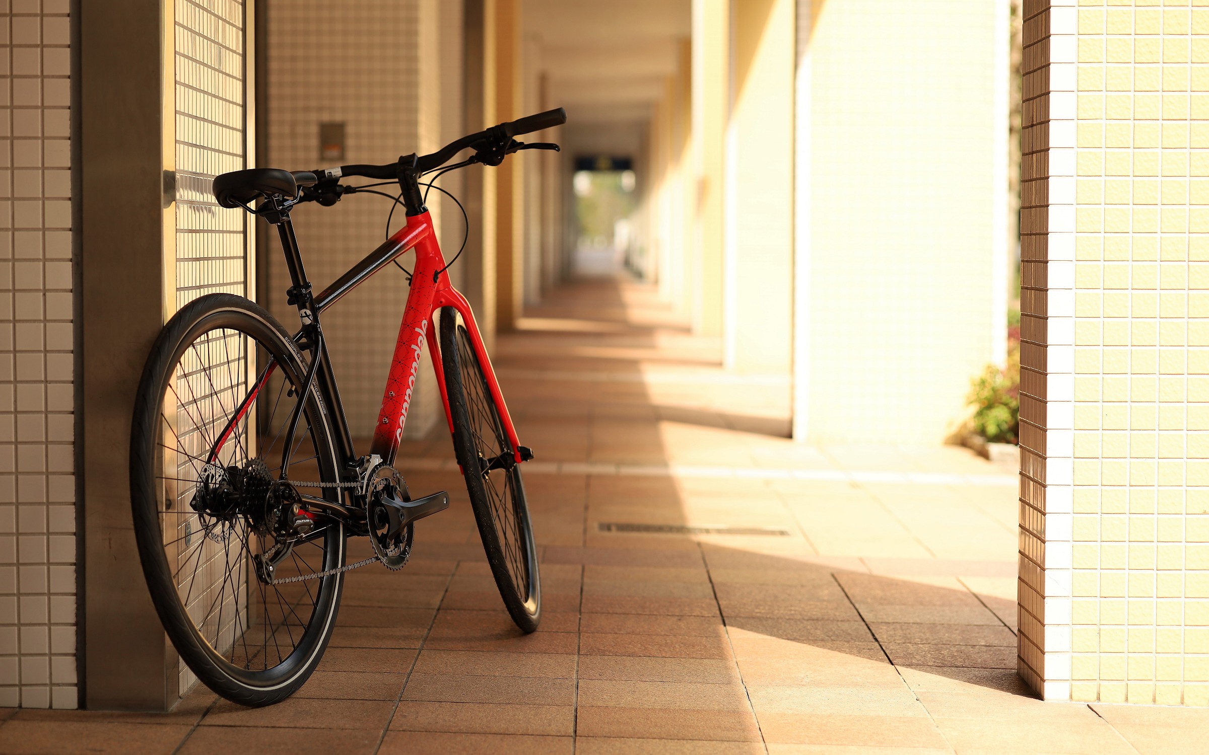 Quick 3 Rui Edition」展示中です。 | キャノンデール横浜