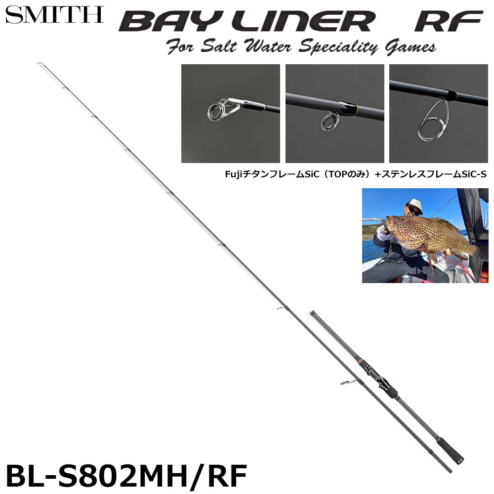 アブガルシア(Abu Garcia) ソルティーステージプロトタイプ ショアジギ