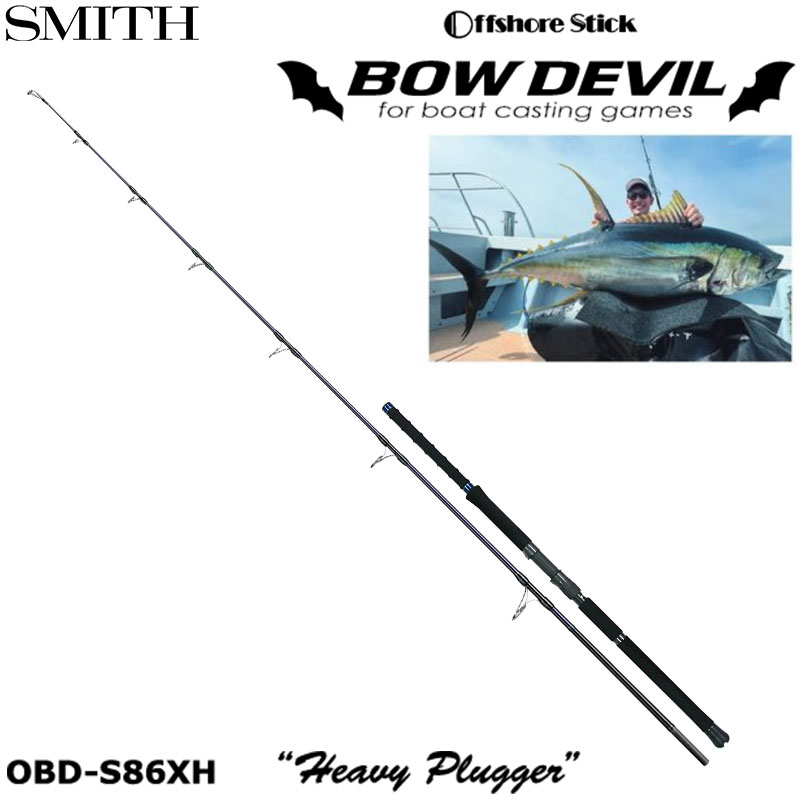 ダイワ(DAIWA) 15ソルティガ 6500H ○廃番 完売しました。 ニュー