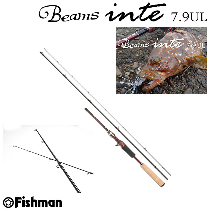 フィッシュマン(Fishman) ビームス・インテ(Beams inte) 7.9UL(お