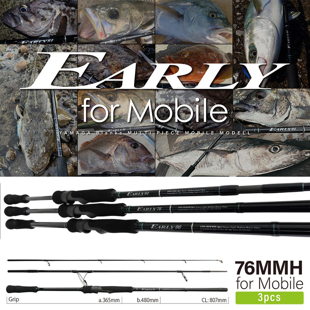 アブガルシア(Abu Garcia) ファンタジスタ スチュディオス FNC-67MH