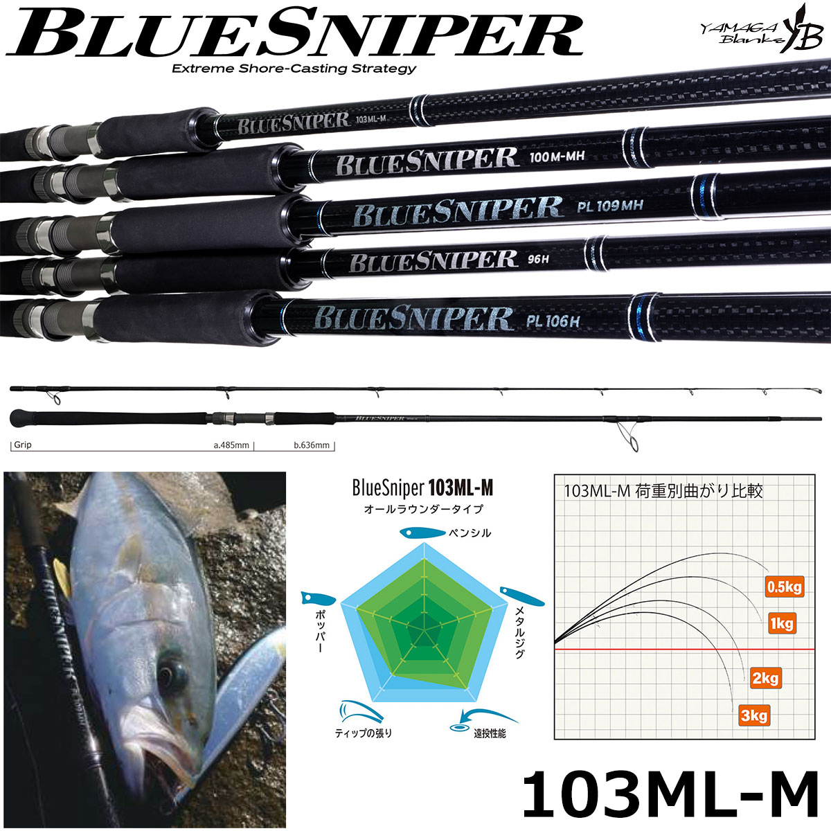 アブガルシア(Abu Garcia) ソルティーステージプロトタイプ エギシス