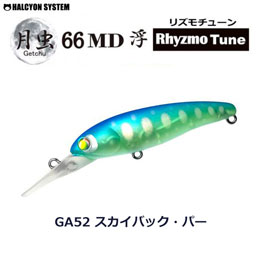 ハルシオン システム ルアー | 激安釣具通販 ルアーフィッシング