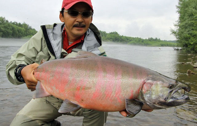 M&Nコーポレーション Twitchn Speciale BORON(トゥイッチン